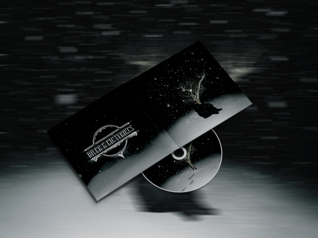 BAWA- HIVER&CICATRICES – mockup bawa hiver